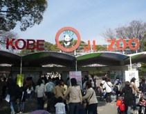 王子動物園徒歩5分
